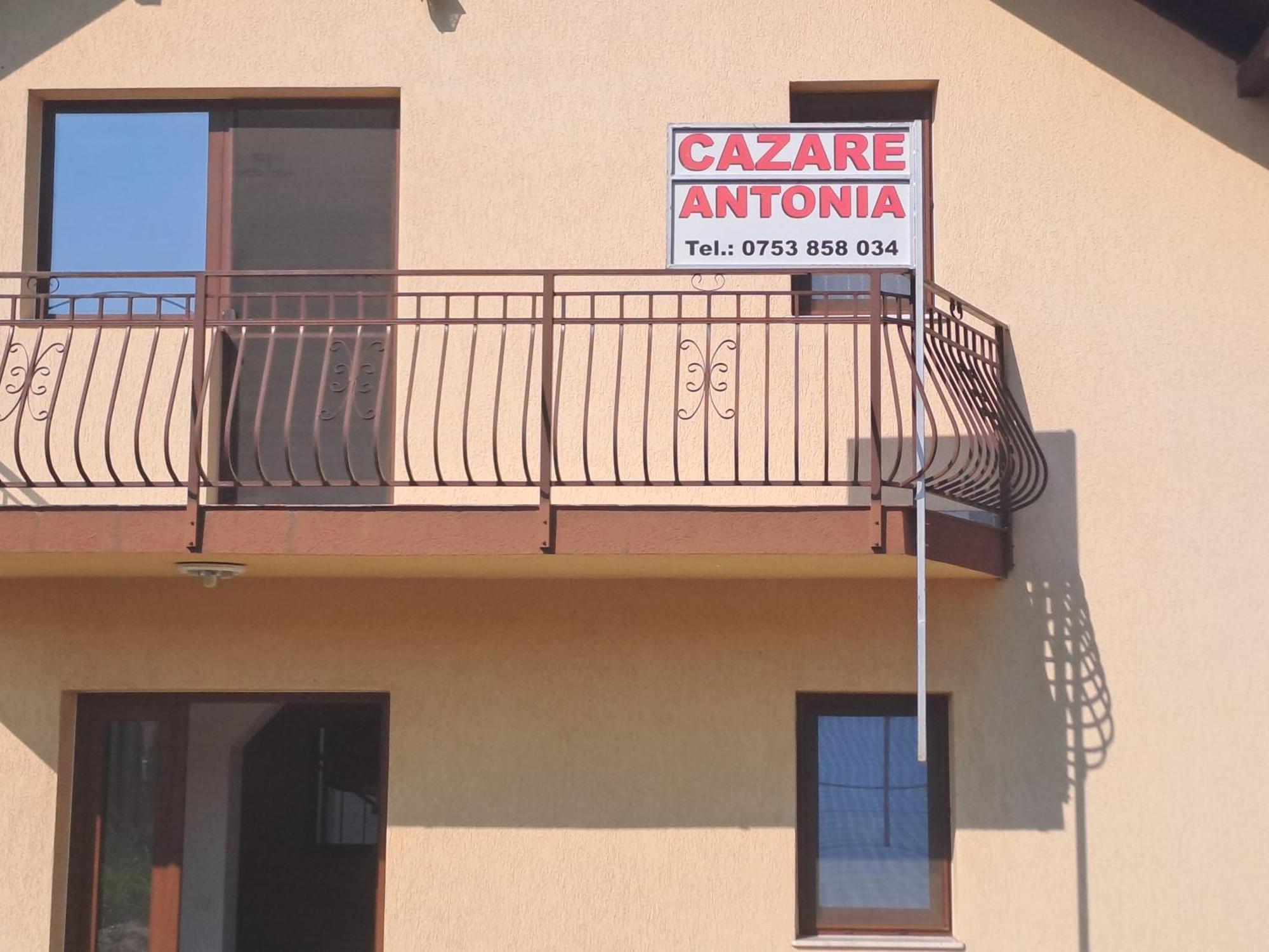 Cazare Antonia Curtea de Argeş Buitenkant foto