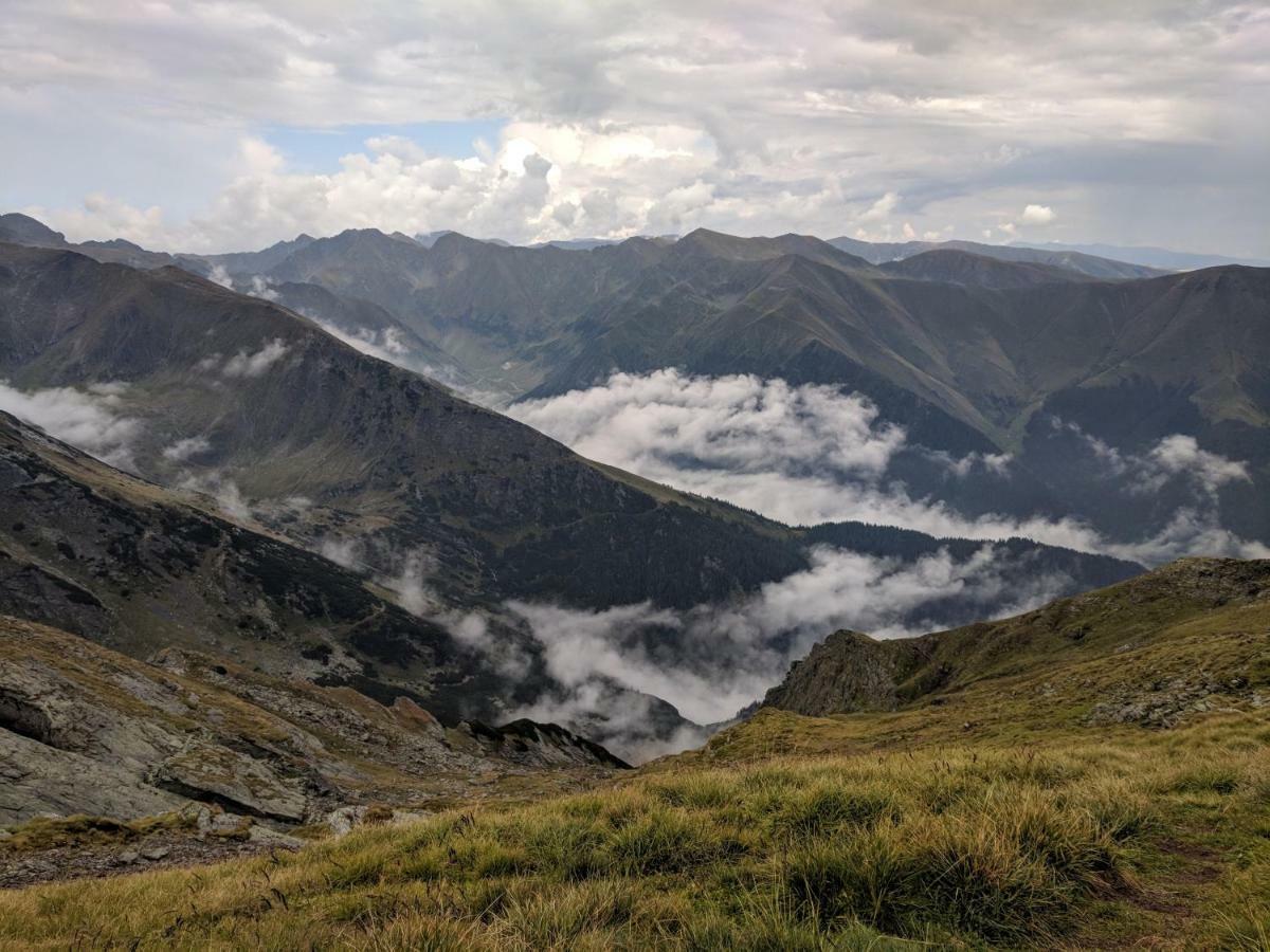 Cazare Antonia Curtea de Argeş Buitenkant foto